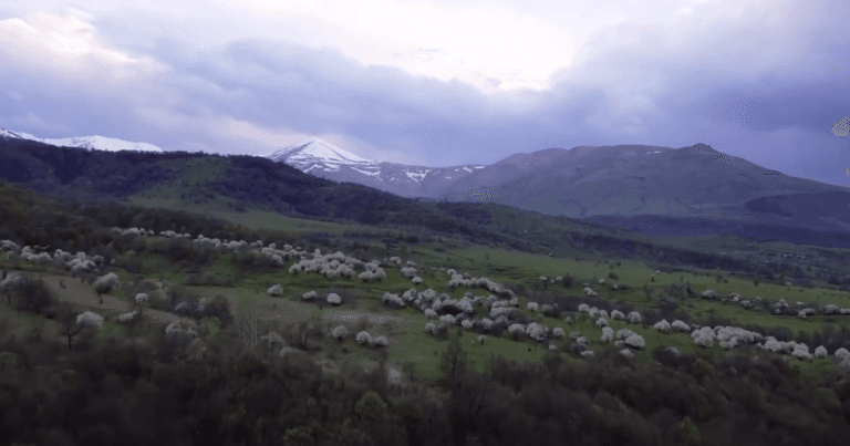 "My Homeland Stayed in the Mountains"